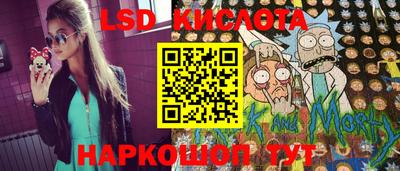 тгк Камышлов