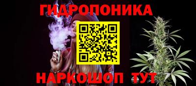 тгк Камышлов